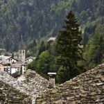 The Sacred Connection: Mythology and Rituals with Trees in the Balkans